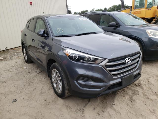 HYUNDAI TUCSON 2016 km8j23a44gu021871