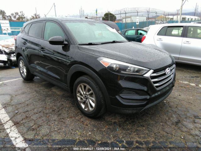 HYUNDAI TUCSON 2017 km8j23a44hu410611