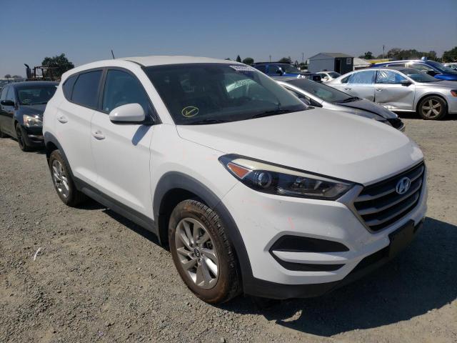 HYUNDAI TUCSON SE 2017 km8j23a45hu306161