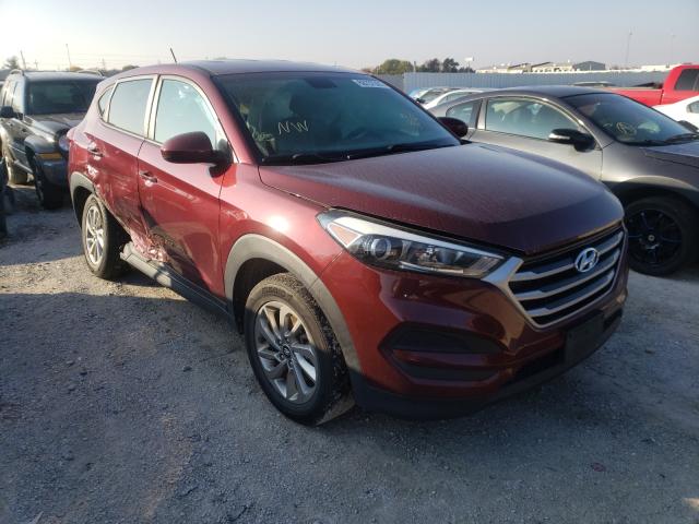 HYUNDAI TUCSON SE 2017 km8j23a45hu443276