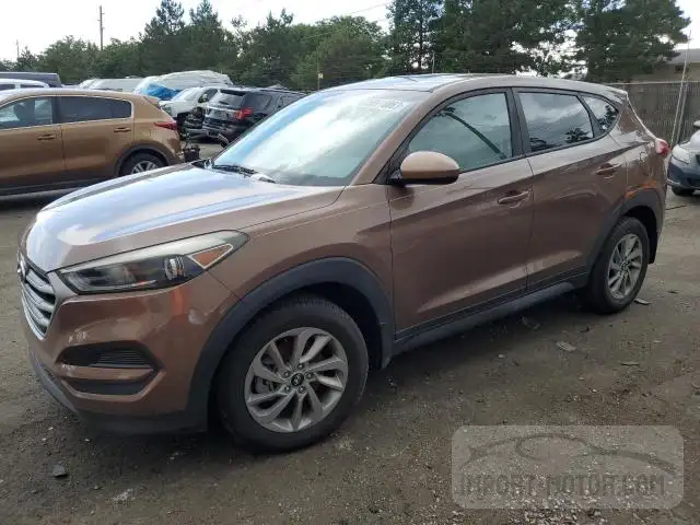 HYUNDAI TUCSON 2017 km8j23a45hu449496