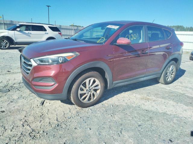 HYUNDAI TUCSON SE 2017 km8j23a46hu385713