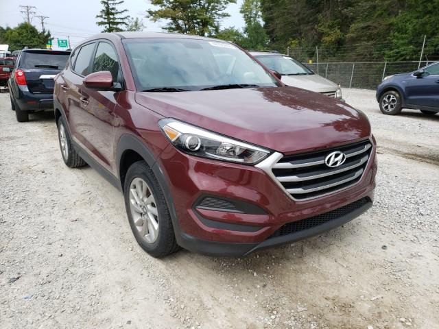 HYUNDAI TUCSON SE 2017 km8j23a48hu326940