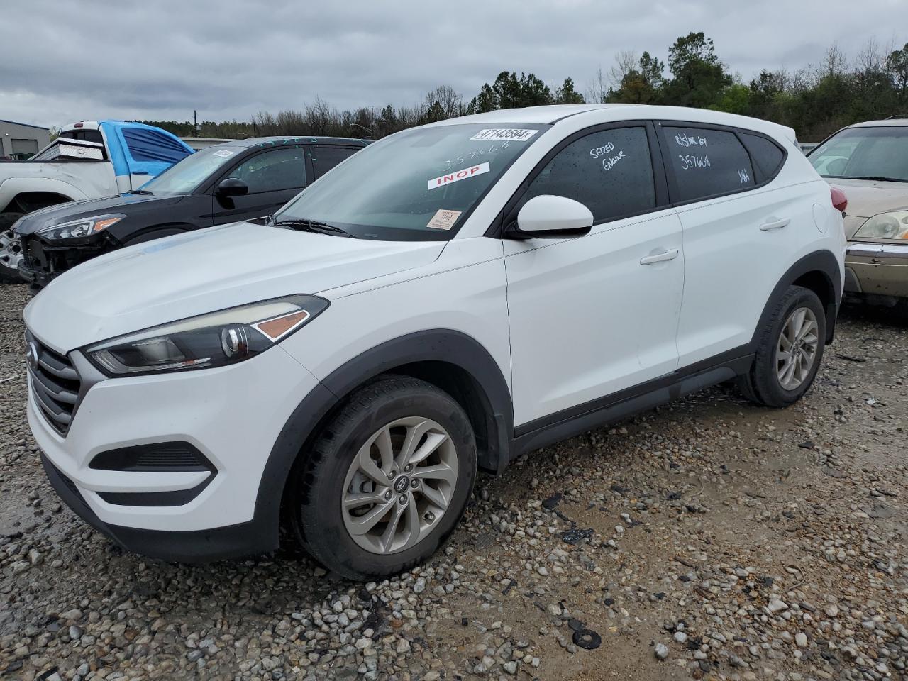 HYUNDAI TUCSON 2017 km8j23a48hu357668