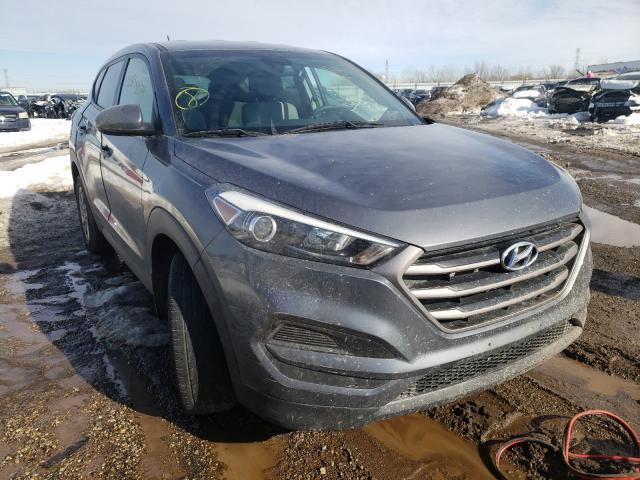 HYUNDAI TUCSON SE 2016 km8j23a49gu155310