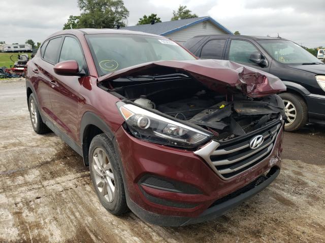 HYUNDAI TUCSON SE 2017 km8j23a49hu391019