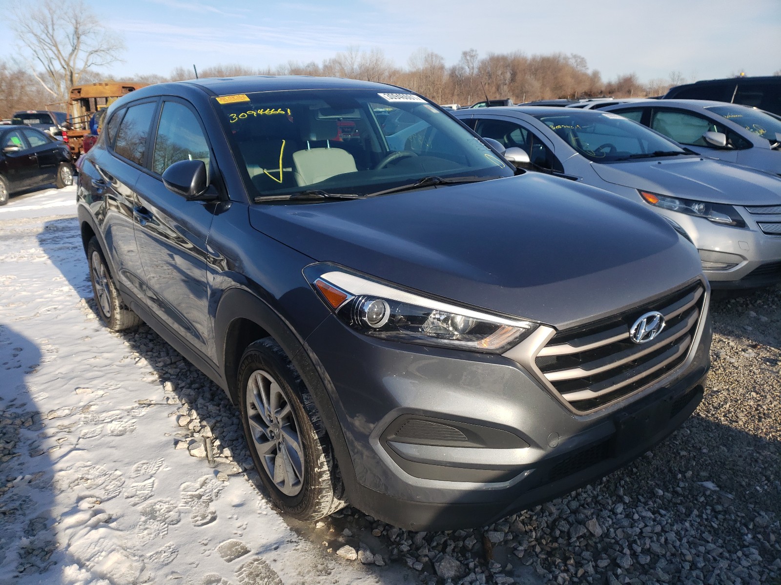 HYUNDAI TUCSON SE 2016 km8j23a4xgu155297