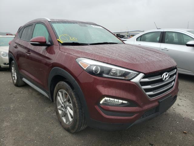 HYUNDAI TUCSON LIM 2017 km8j33a41hu405623