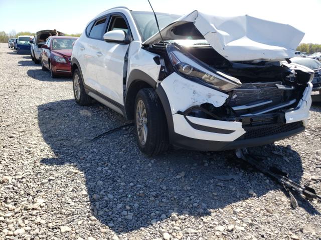 HYUNDAI TUCSON LIM 2017 km8j33a41hu511537