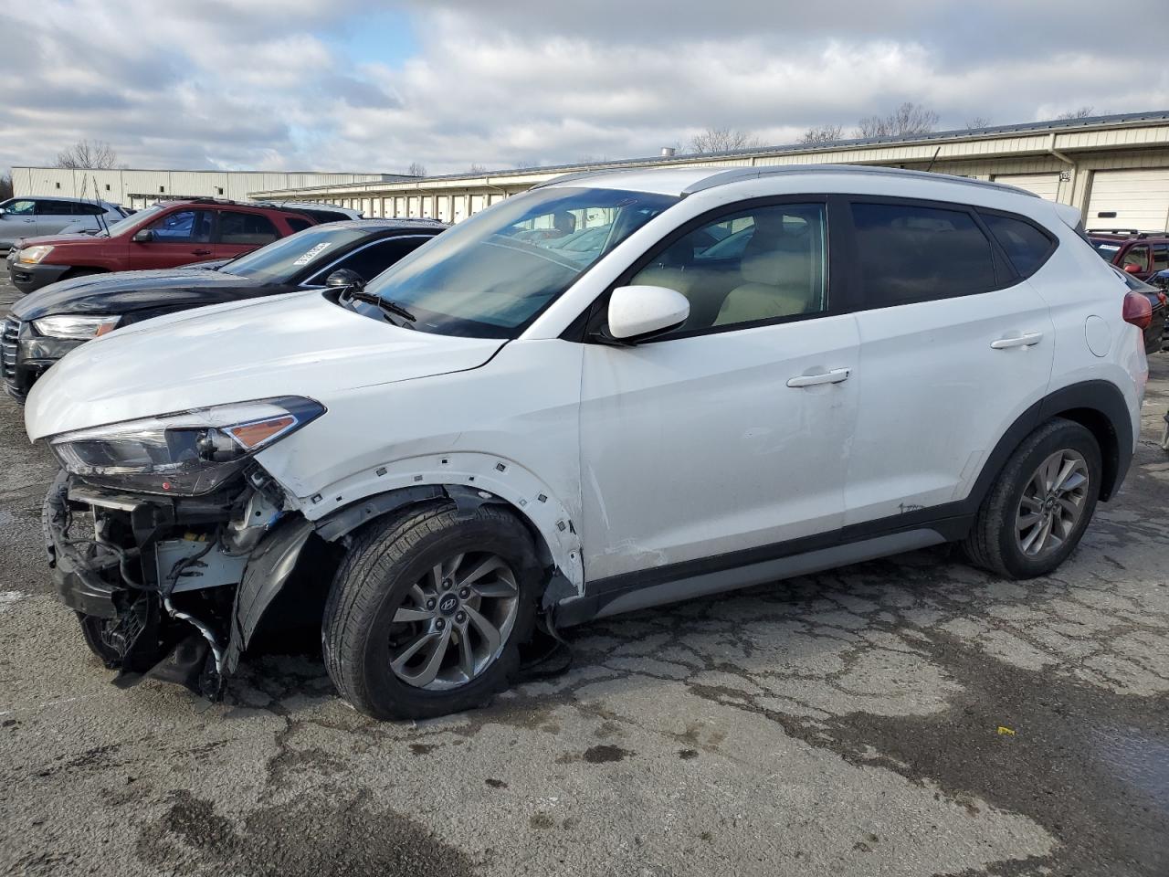 HYUNDAI TUCSON 2017 km8j33a41hu567798