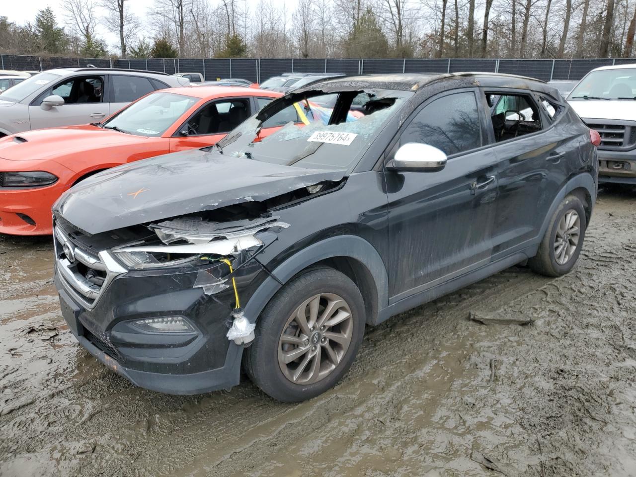 HYUNDAI TUCSON 2016 km8j33a44gu199387