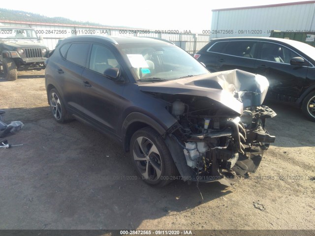 HYUNDAI TUCSON 2016 km8j3ca20gu162822