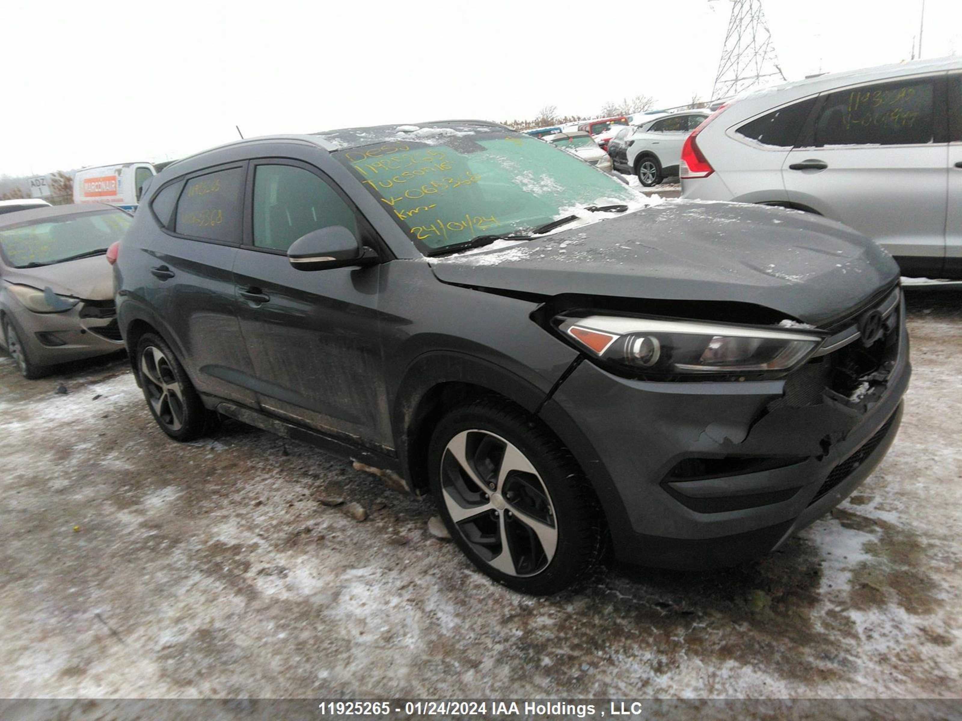 HYUNDAI TUCSON 2016 km8j3ca21gu065368