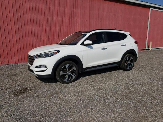 HYUNDAI TUCSON LIM 2017 km8j3ca21hu265457