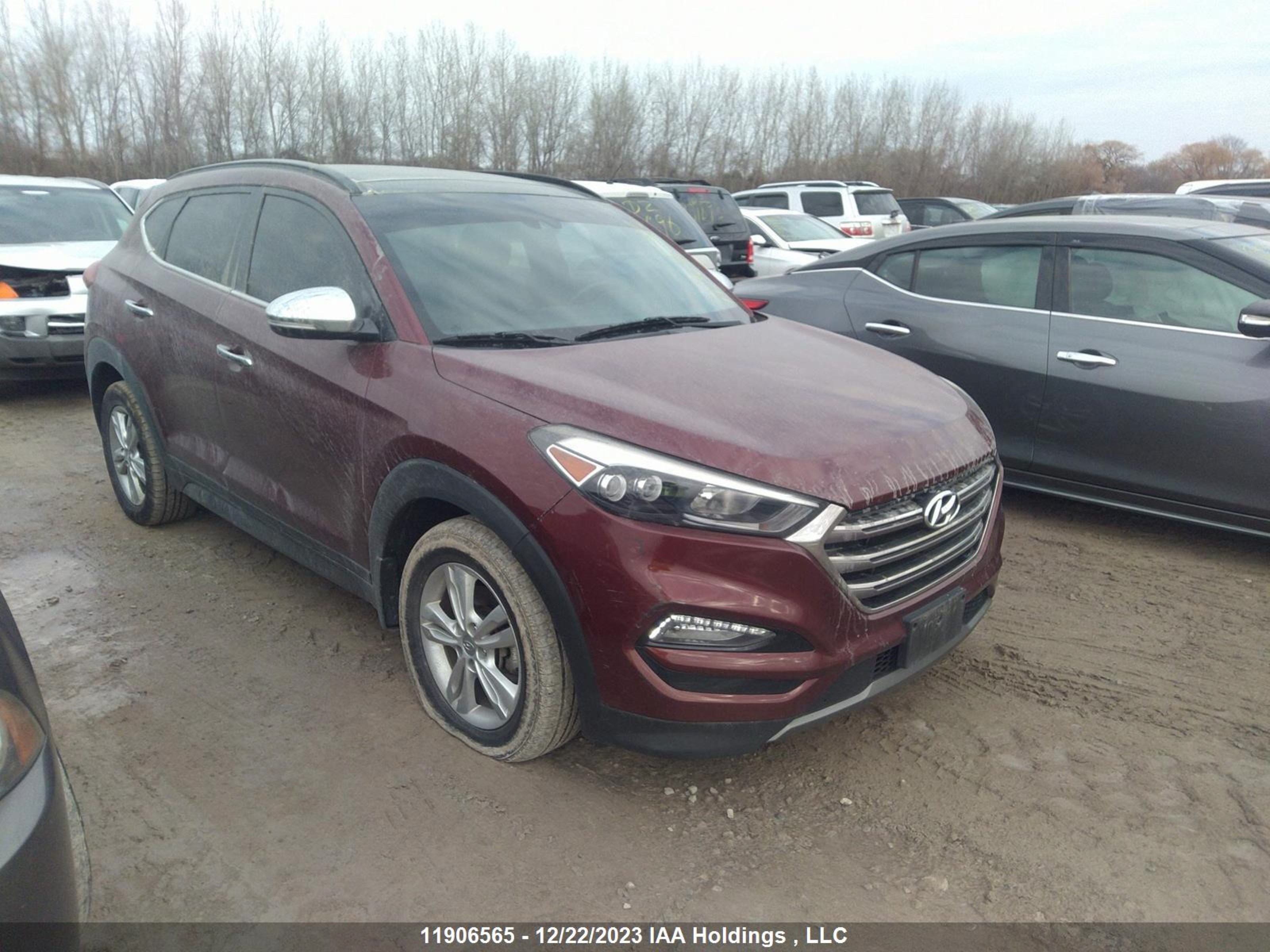 HYUNDAI TUCSON 2016 km8j3ca22gu097147