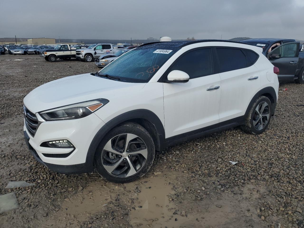 HYUNDAI TUCSON 2016 km8j3ca22gu161736