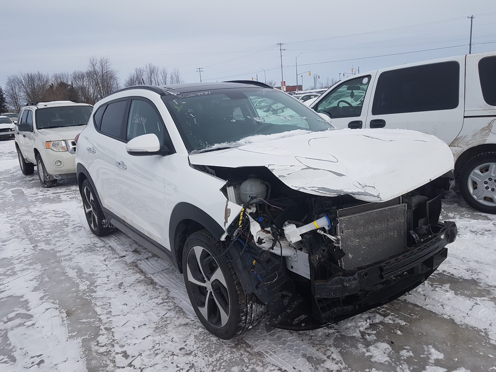 HYUNDAI TUCSON LIM 2017 km8j3ca23hu524482