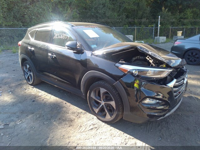 HYUNDAI TUCSON 2016 km8j3ca25gu243461