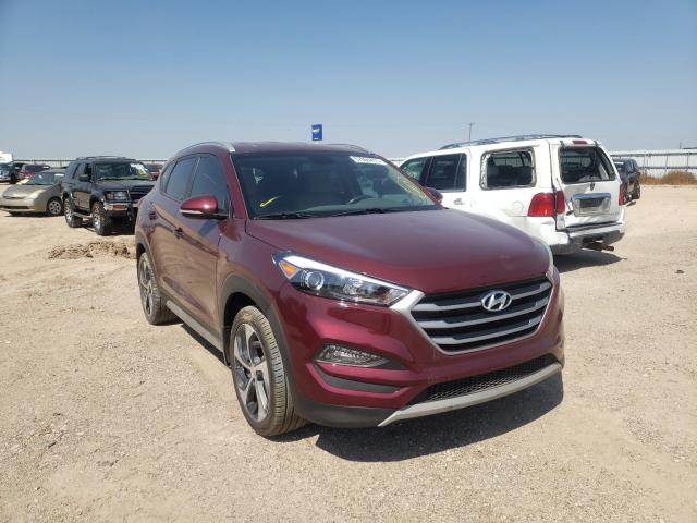 HYUNDAI TUCSON LIM 2017 km8j3ca26hu367627