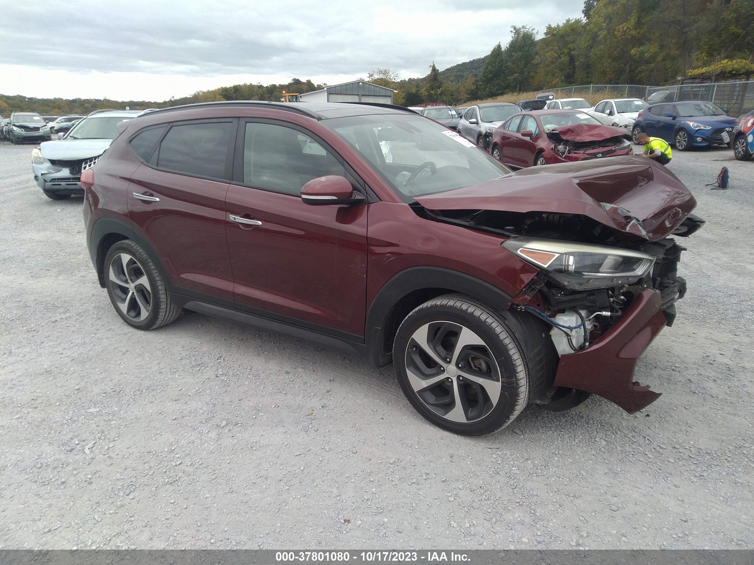 HYUNDAI TUCSON 2016 km8j3ca29gu236111