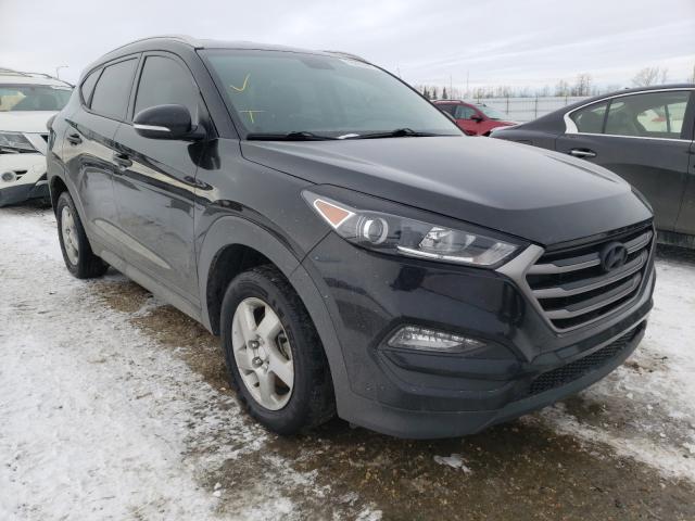 HYUNDAI TUCSON LIM 2016 km8j3ca40gu111290