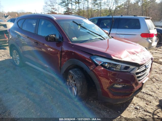 HYUNDAI TUCSON 2017 km8j3ca40hu290433