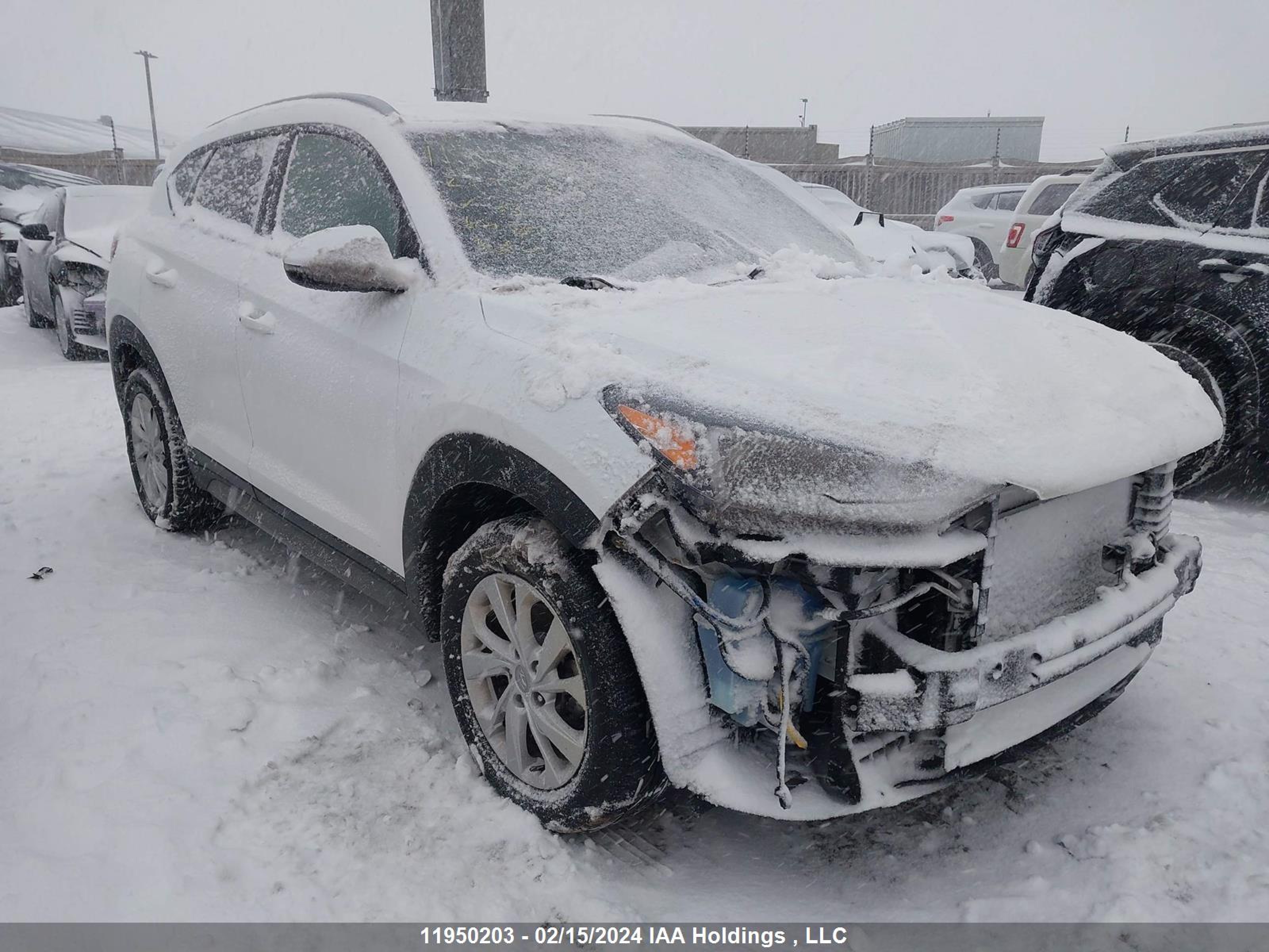 HYUNDAI TUCSON 2021 km8j3ca41mu333624