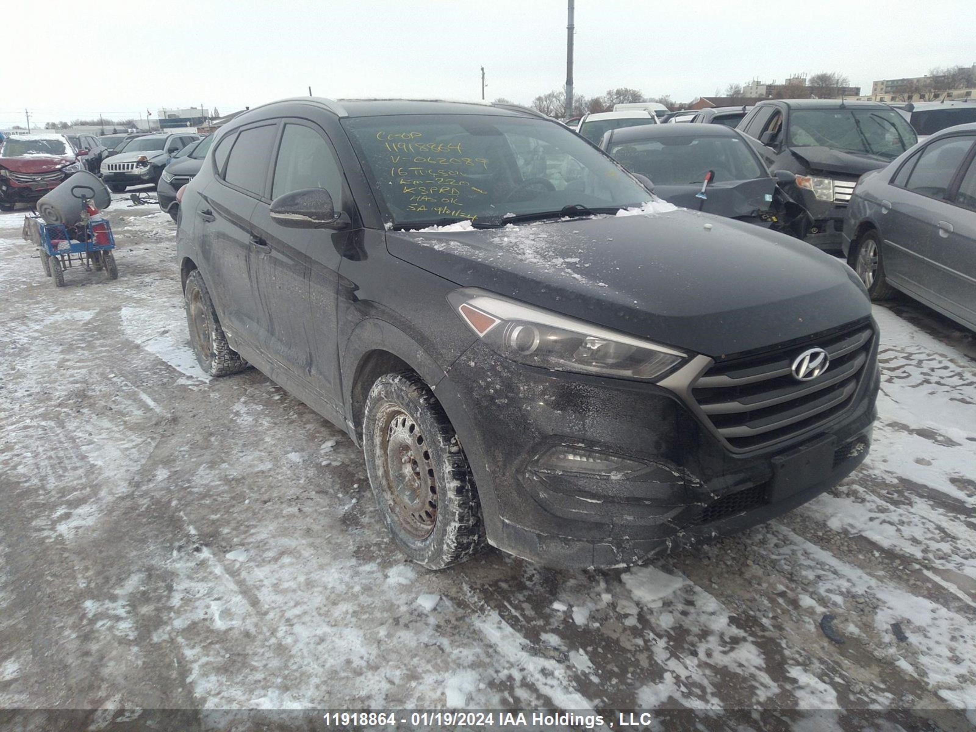 HYUNDAI TUCSON 2016 km8j3ca42gu062089