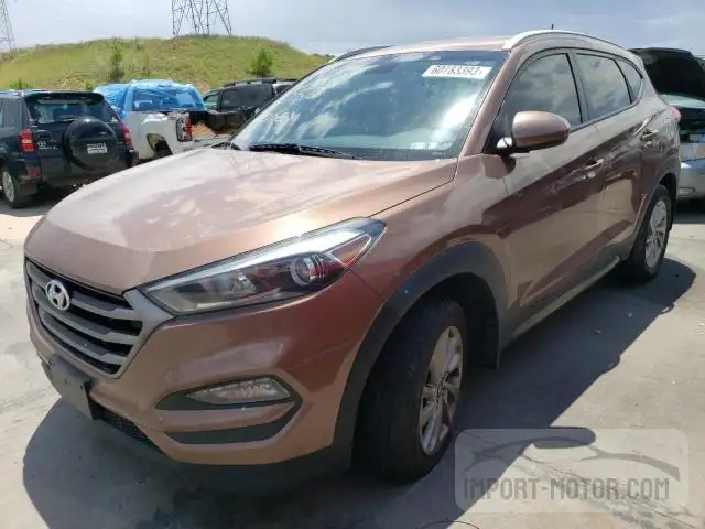 HYUNDAI TUCSON 2016 km8j3ca43gu021874