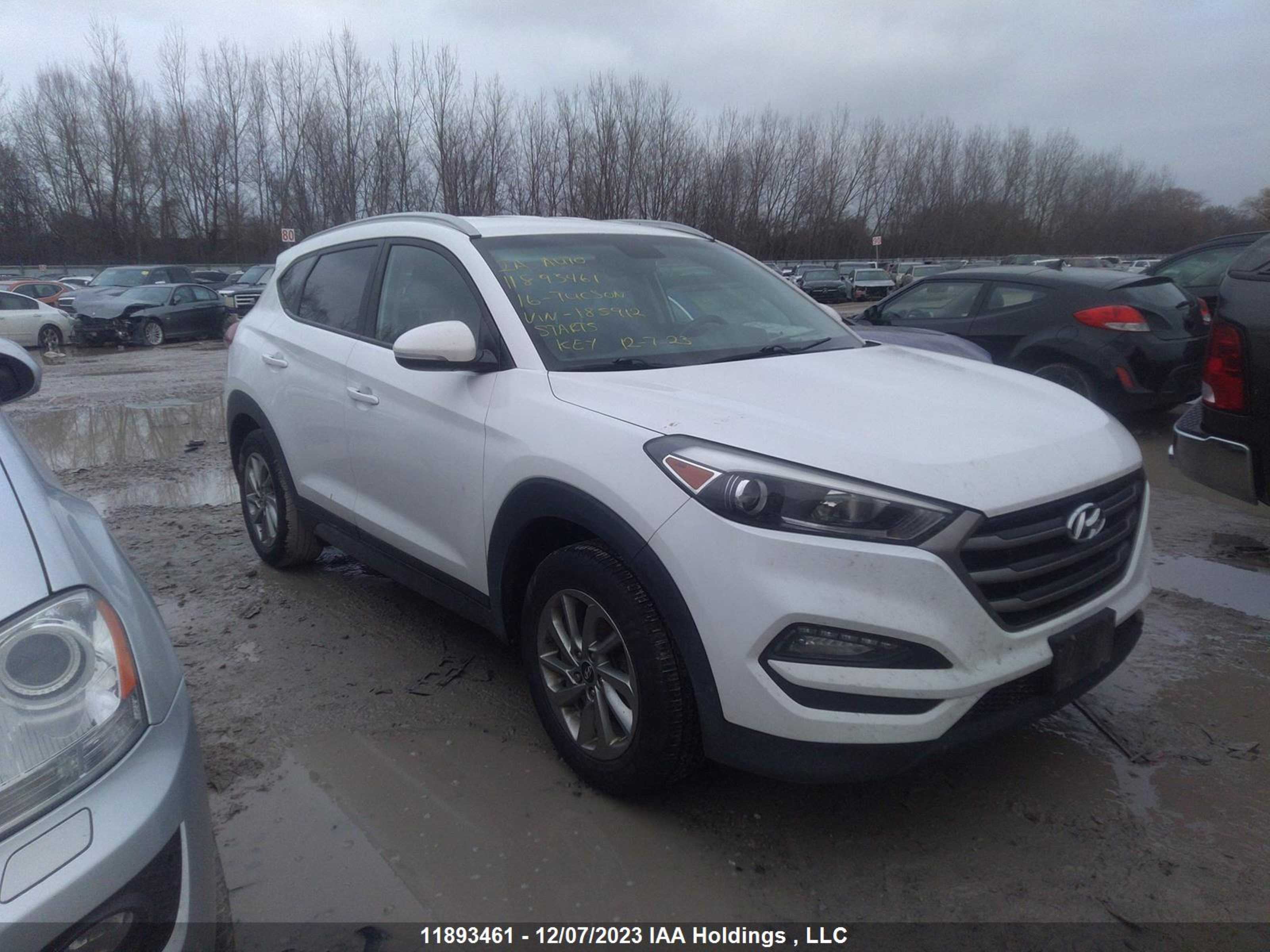 HYUNDAI TUCSON 2016 km8j3ca44gu185912