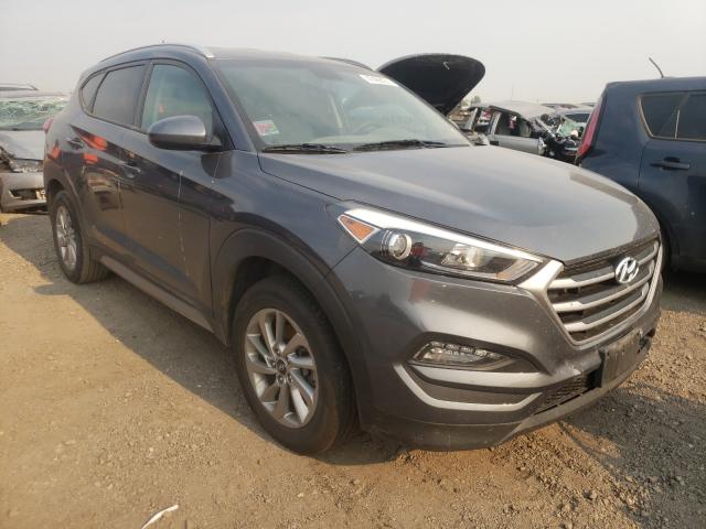 HYUNDAI TUCSON LIM 2017 km8j3ca49hu386092