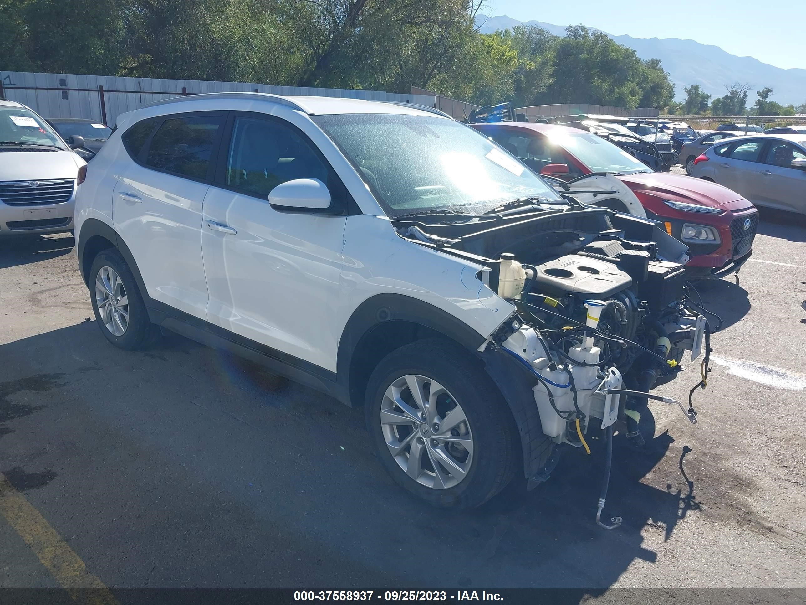 HYUNDAI TUCSON 2019 km8j3ca49ku847119