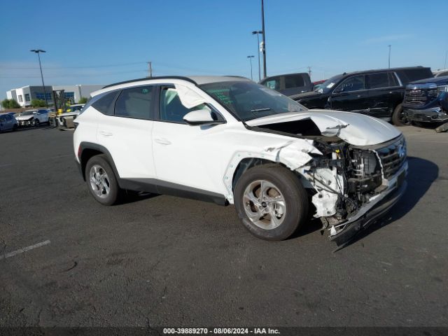 HYUNDAI TUCSON 2024 km8jb3de7ru329740