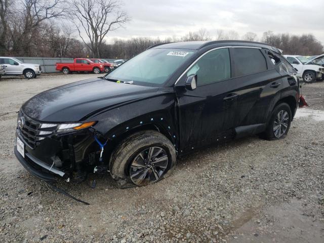 HYUNDAI TUCSON BLU 2022 km8jbca11nu072506