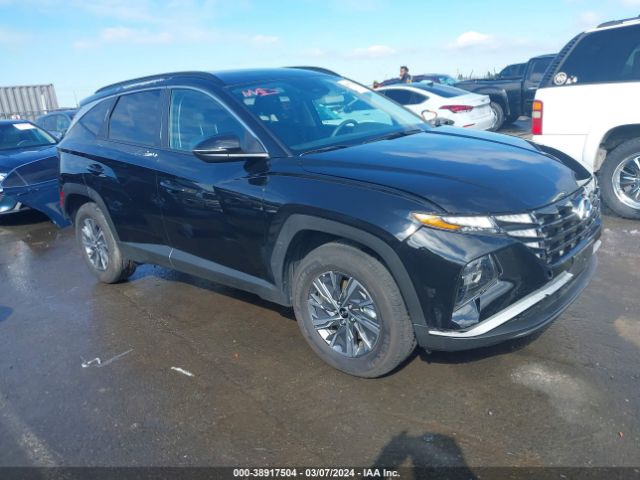 HYUNDAI TUCSON HYBRID 2023 km8jbca13pu093845