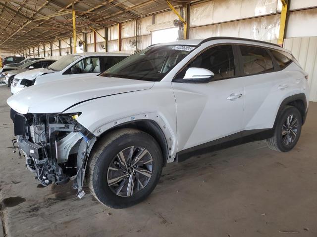 HYUNDAI TUCSON BLU 2022 km8jbca14nu049785