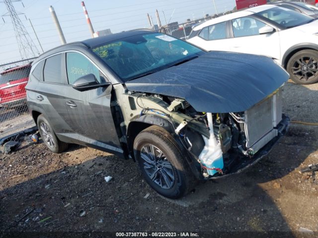 HYUNDAI TUCSON HYBRID 2022 km8jbca14nu077571