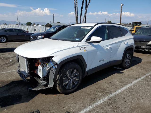 HYUNDAI TUCSON BLU 2023 km8jbca15pu129664