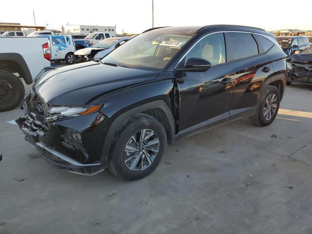 HYUNDAI TUCSON BLU 2022 km8jbca18nu020788