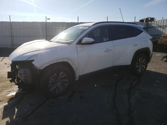 HYUNDAI TUCSON BLU 2022 km8jbca19nu022274