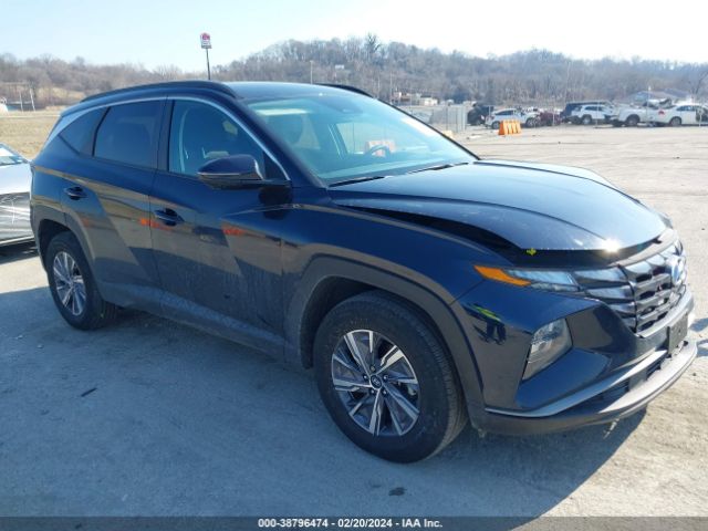 HYUNDAI TUCSON HYBRID 2022 km8jbca19nu072463