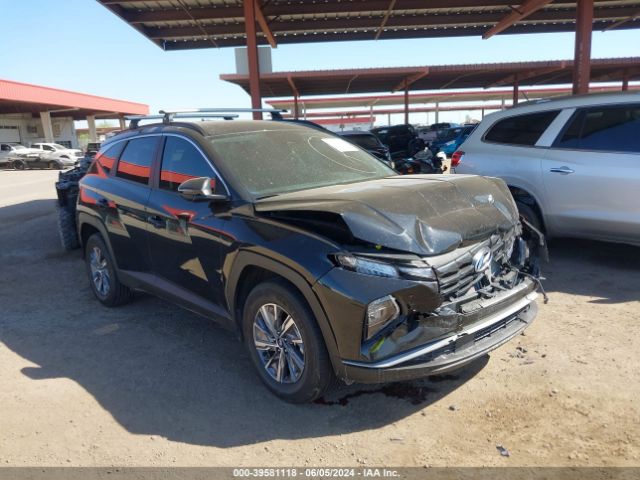 HYUNDAI TUCSON 2023 km8jbca19pu105867