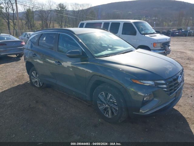 HYUNDAI TUCSON HYBRID 2022 km8jbca1xnu017505