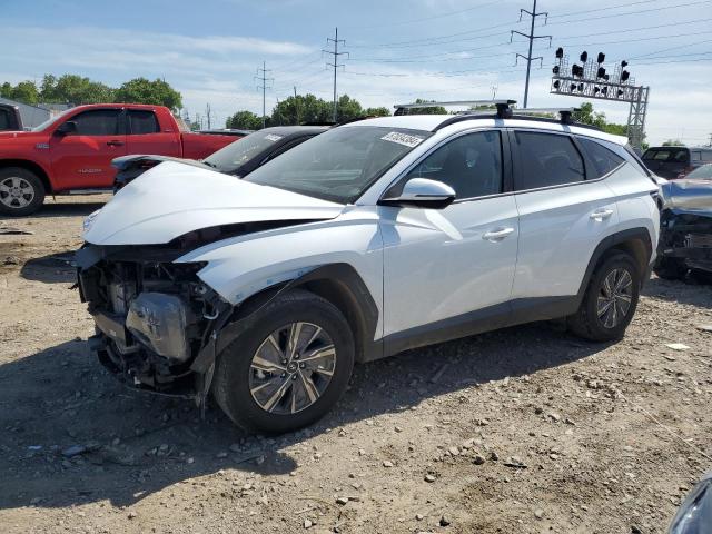 HYUNDAI TUCSON 2023 km8jbca1xpu093907