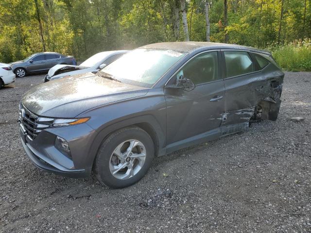 HYUNDAI TUCSON SEL 2022 km8jbcae7nu106984