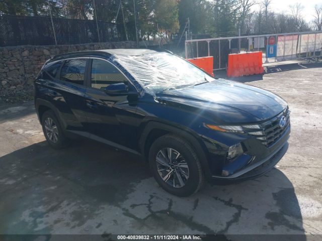 HYUNDAI TUCSON 2024 km8jbcd11ru192193