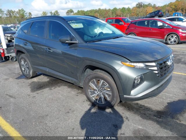 HYUNDAI TUCSON 2024 km8jbcd17ru202502