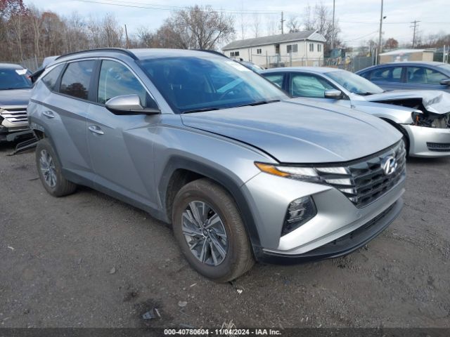 HYUNDAI TUCSON 2024 km8jbcd1xru215681