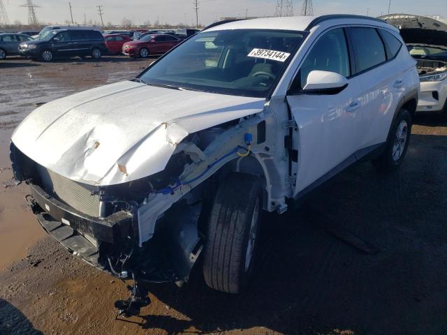 HYUNDAI TUCSON 2024 km8jbcde1ru286979