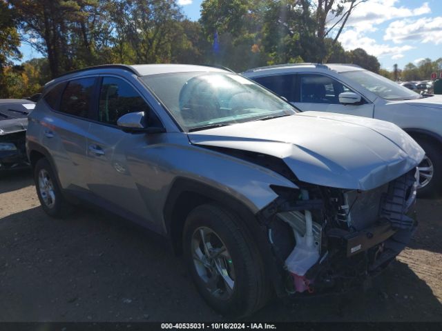 HYUNDAI TUCSON 2024 km8jbcde1ru313355